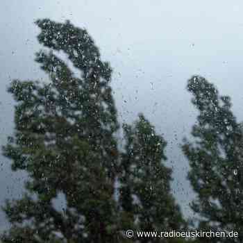 Sturmtief Antonia entwurzelt zahlreiche Bäume - radioeuskirchen.de