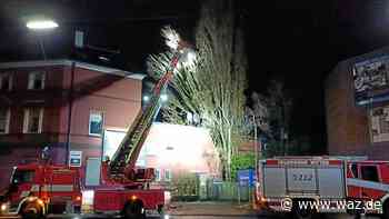 Sturmtief Antonia schüttelt Witten – aber deutlich weniger Einsätze - Westdeutsche Allgemeine Zeitung