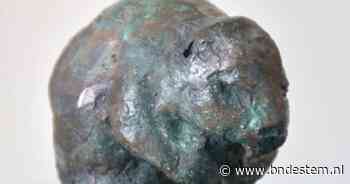 Bronzen Bever voor vrijwilliger en mantelzorger Annie Fens-Broeders - bndestem.nl