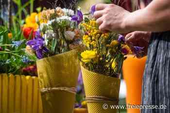 Erste Besuchermesse seit zwei Jahren geplant - Freie Presse