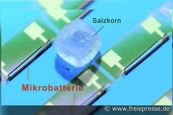 Chemnitzer Forscher entwickeln weltkleinste Batterie für Computer - Freie Presse