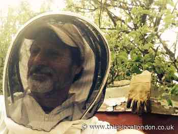 London beekeeper expects thousands of bees will die after storms