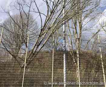 Bilanz der Stadt: Sturmtief verursacht Schäden an Sportplätzen