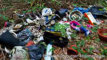 Illegaler Müll im Wald bei Ingstetten: Polizei ermittelt Täterin