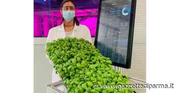 Agricoltura verticale, Alma diventa centro culturale di avanguardia - Gazzetta di Parma