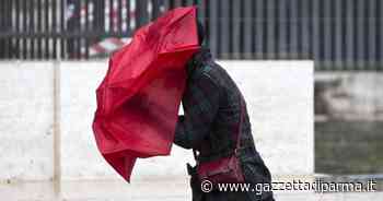 Parma, allerta meteo gialla per vento: raffiche fino agli 88 km orari - Gazzetta di Parma