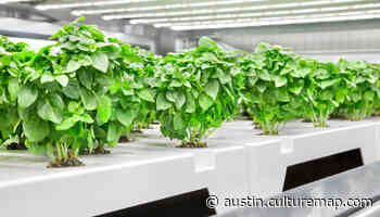 Growing Austin suburb sprouts innovative indoor farming facility to feed Texas communities - CultureMap Austin