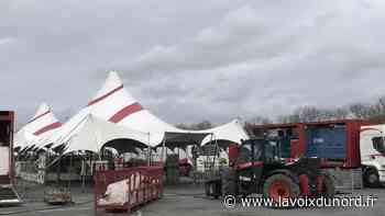 Le cirque Arlette Gruss s'installe à Arras : tout ce qu'il faut savoir - La Voix du Nord