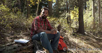 ‘Ride the Eagle,’ ‘Bergman Island’ and More Streaming Gems