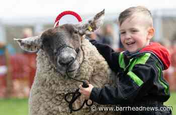 Neilston Cattle Show returns after two years - Barrhead News