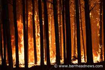 Rain brings hope for fire-ravaged province in Argentina - Barrhead News