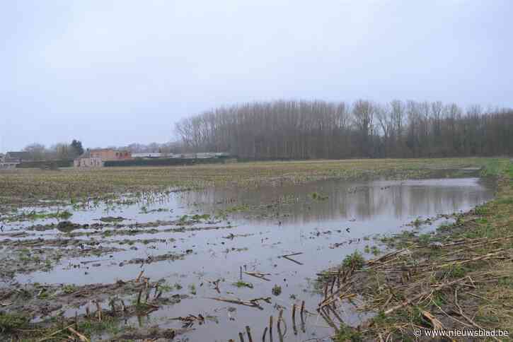 Vijfhonderdtal bezwaarschriften tegen nieuwe Matexiwijk Laarstraat