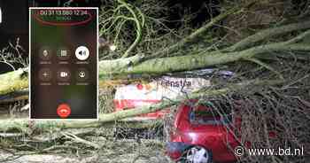 Deuk in je auto of boom op je dak? Dan kun je nog wel even wachten: 'Dit is ook voor ons uitzonderlijk' - BD.nl