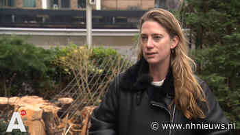 Getuigen dodelijk ongeval waarschuwden al langer voor bewuste boom: "Vooral boos op gemeente" - NH Nieuws