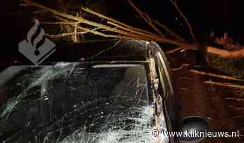 Omgevallen boom zorgt voor veel schade - Kliknieuws.nl