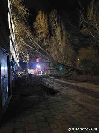 Bewoners geschrokken na omwaaien boom tegen flat Valkhof - Sliedrecht24