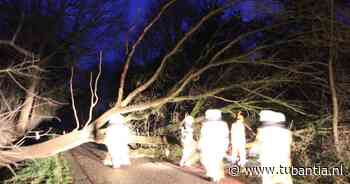 Boom en gevallen tak blokkeren wegen in Wierden en Holten - Tubantia