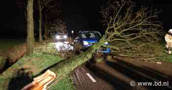 Auto rijdt tegen omgevallen boom in Sprang-Capelle, bestuurder komt met schrik vrij - BD.nl