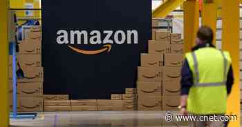 Amazon Sues Two Companies for Allegedly Posting Fake Product Reviews     - CNET