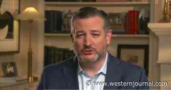 Ted Cruz Calls Out 81 Million Americans: You Gave Putin the 'Best' Gift He's 'Ever' Received - Video