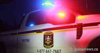 Conservation officers probe poached deer found near Bancroft