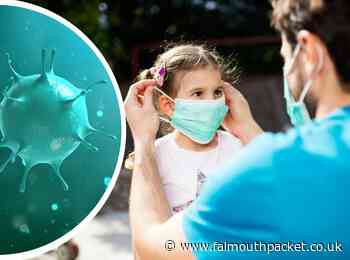 Coronavirus in Cornwall round up: Tuesday, February 22, 2022 - Falmouth Packet