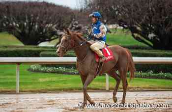 Exiting his 1st loss, Dash Attack fires a bullet for the Rebel - Horse Racing Nation