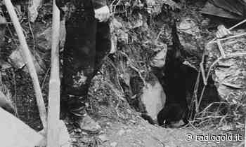 Martiri delle Foibe, giovedì il Giorno del Ricordo: le commemorazioni in provincia - Radiogold