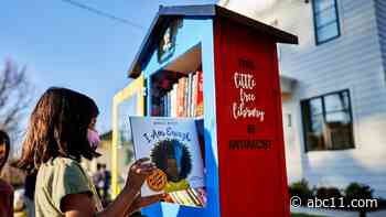 'Little Free Antiracist Libraries' help dismantle division through education
