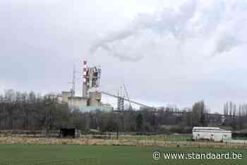 Vlaanderen in beroep tegen biomassacentrale - De Standaard