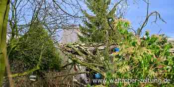 Marl nach dem Sturm: Sportplätze freigegeben, Parks geschlossen - Waltroper Zeitung