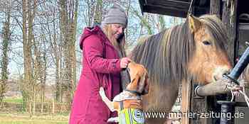 Lisa Garber will nie wieder ohne ihre Assistenzhündin „Moody“ sein - Marler Zeitung