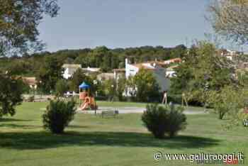 Baja Sardinia, dopo i nuovi giochi nei giardinetti rifatta anche l'erba - Gallura Oggi