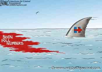 Predatory Politics