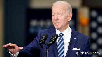 Biden says mineral supply chain actions will help end foreign reliance