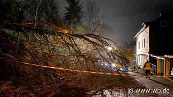 Feuerwehr Siegen: Bäume stürzen von Hang auf geparkte Autos - WP News