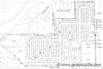 Council set to deliberate zoning application for Mount Forest development - GuelphToday