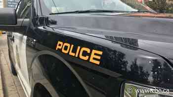Calgary Police respond to 2 shootings in Forest Lawn on Monday - CBC.ca