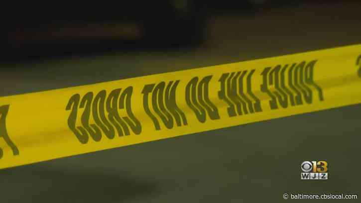 Maryland Man Charged In Death Of Delaware Woman After Suspected Human Remains Found In Backyard