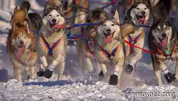 West Irondequoit teacher going to Iditarod Trail sled dog race