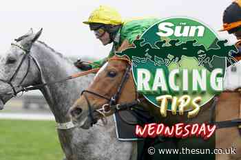 Racing tips: Templegate NAP just relishes a slog over marathon trip and can strike in style on Wednesday... - The Sun