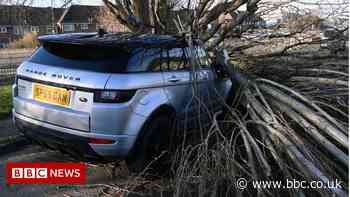 Storm Franklin: How do I claim for damage?