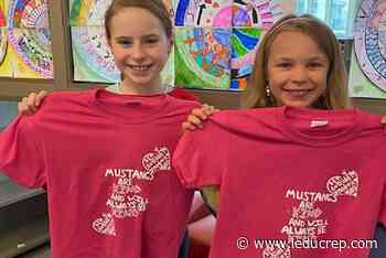 Davidson Creek students create custom Pink Shirt Day designs - Leduc Representative