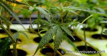 Marignane : famille de coupeurs de joints et patrouille environnement - La Provence