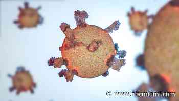 BA.2 Strain Is ‘More Virulent and More Contagious' Than Omicron