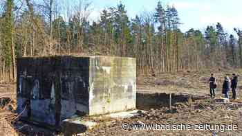 Erinnerung an den Krieg soll bleiben - Breisach - Badische Zeitung