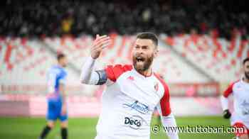 Bari-Picerno, i voti LIVE: assist di Cheddira, piazzato vincente di Antenucci - BARI CALCIO