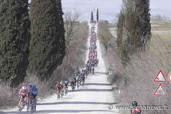 Torna il grande ciclismo nelle terre di Siena: la Val di Merse grande protagonista - Siena News