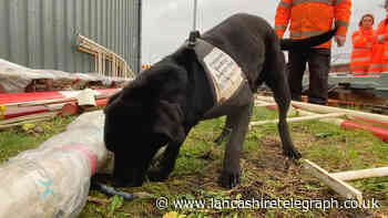 Sniffer dogs set to make their mark on the region's railways
