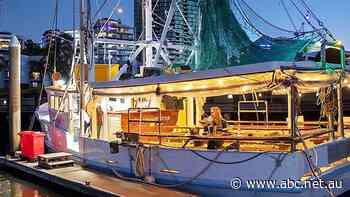 Council, government to meet over evicted Dockside Marina businesses